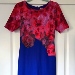 M&S Bodycon Dress